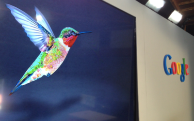 Google Hummingbird – will it affect your website?
